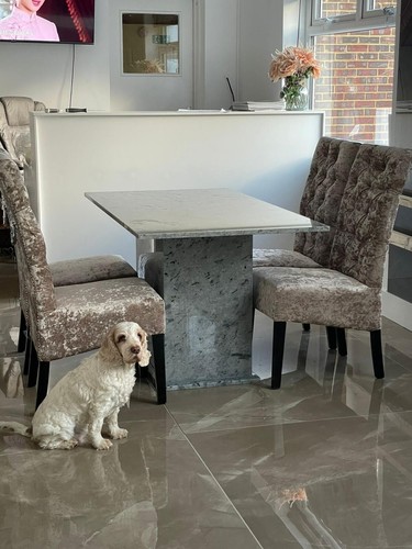 Solid marble dining - marble,